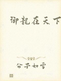御龙在天下载
