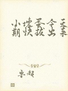 小坏蛋今天危险期快拔出来