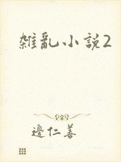 杂乱小说2