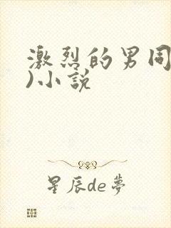 激烈的男同(h)小说