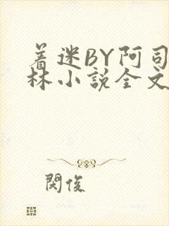 着迷BY阿司匹林小说全文免费阅读