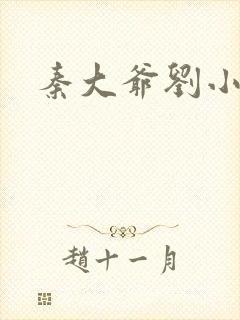 秦大爷刘小静