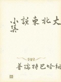 小说东北大炕全集