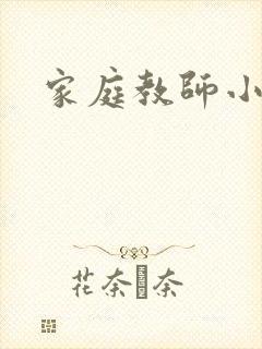 家庭教师小说封面