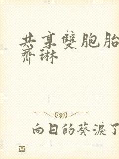 共享双胞胎齐娜齐琳封面