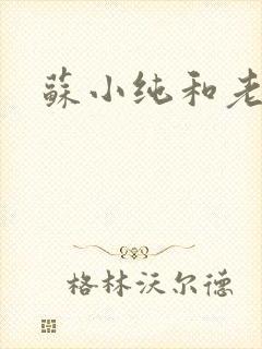 苏小纯和老苏