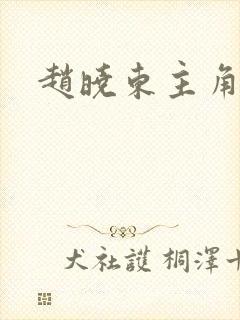 赵晓东主角小说