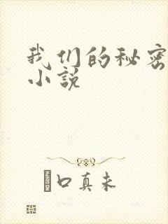 我们的秘密泰剧小说