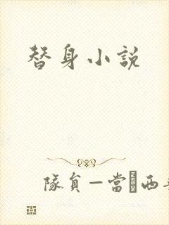 替身小说封面