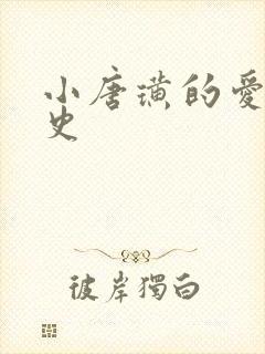 小唐璜的爱情历史