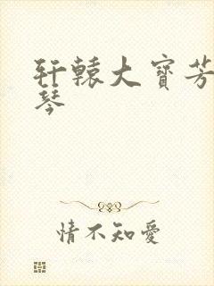 轩辕大宝芳菲雅琴封面