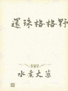 还珠格格野传