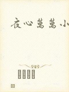 夜心万万小说封面