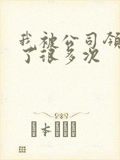 我被公司领导C了很多次