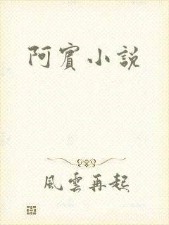 阿宾小说