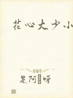 花心大少小说