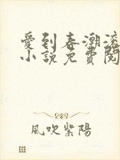 爱到春潮滚滚来小说免费阅读
