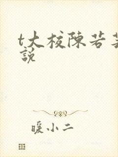 t大校陈若芸小说封面