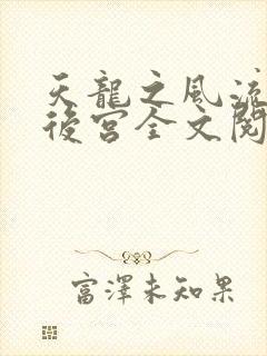 天龙之风流猎艳后宫全文阅读封面