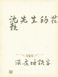 沈先生的花式调教封面