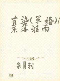 有染(军婚)/叶落淮南