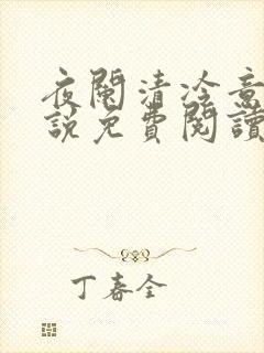 夜阑清冷意欢小说免费阅读封面