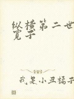纵横第二世界 宽子