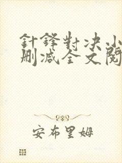 针锋对决小说未删减全文阅读封面