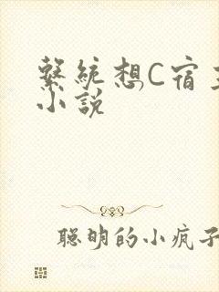 系统想C宿主的小说