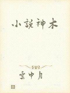小说神木