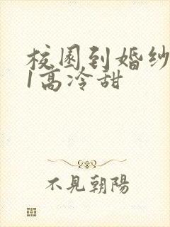 校园到婚纱1V1高冷甜