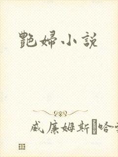 艳妇小说