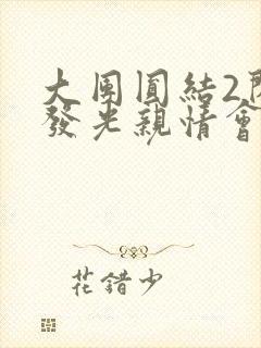 大团圆结2闪闪发光亲情会
