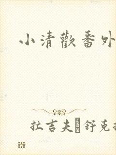 小清欢番外