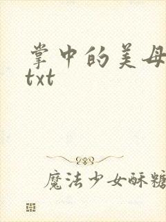 掌中的美母版主txt