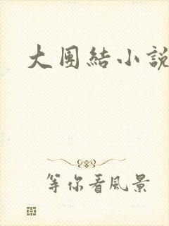 大团结小说阅读