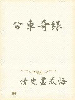 公车奇缘