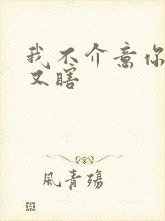 我不介意你又丑又瞎