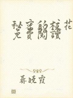 秘密的校花小说免费阅读封面