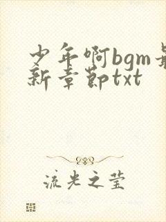 少年啊bgm最新章节txt