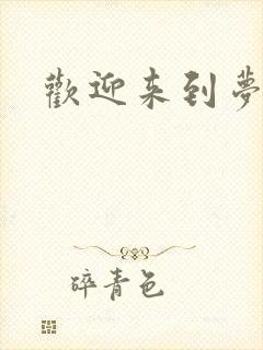 欢迎来到梦乐园封面