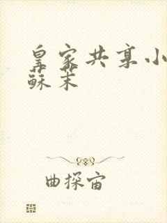 皇家共享小公主苏茉封面