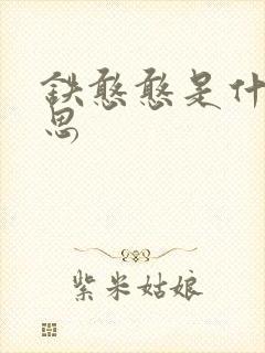 铁憨憨是什么意思