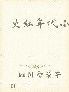 火红年代小说封面