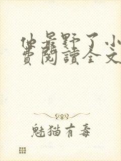 他最野了小说免费阅读全文封面