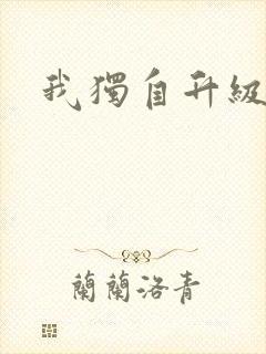 我独自升级2