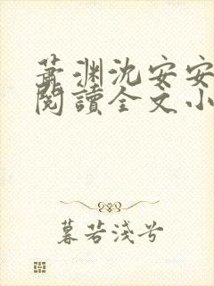 萧渊沈安安免费阅读全文小说封面