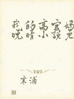 我的高官妈妈苏晚晴小说免费阅读