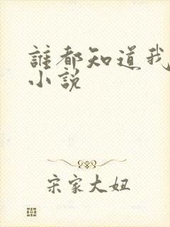 谁都知道我爱你小说