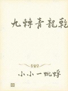 九转青龙乾坤鼎封面